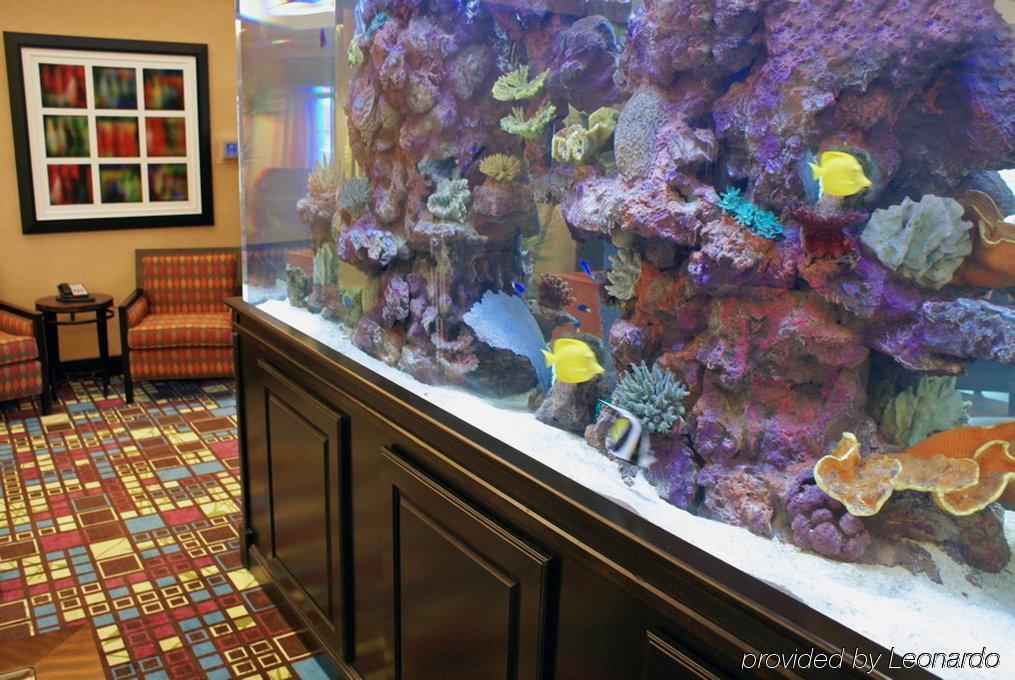 Homewood Suites Fort Myers Airport - Fgcu İç mekan fotoğraf